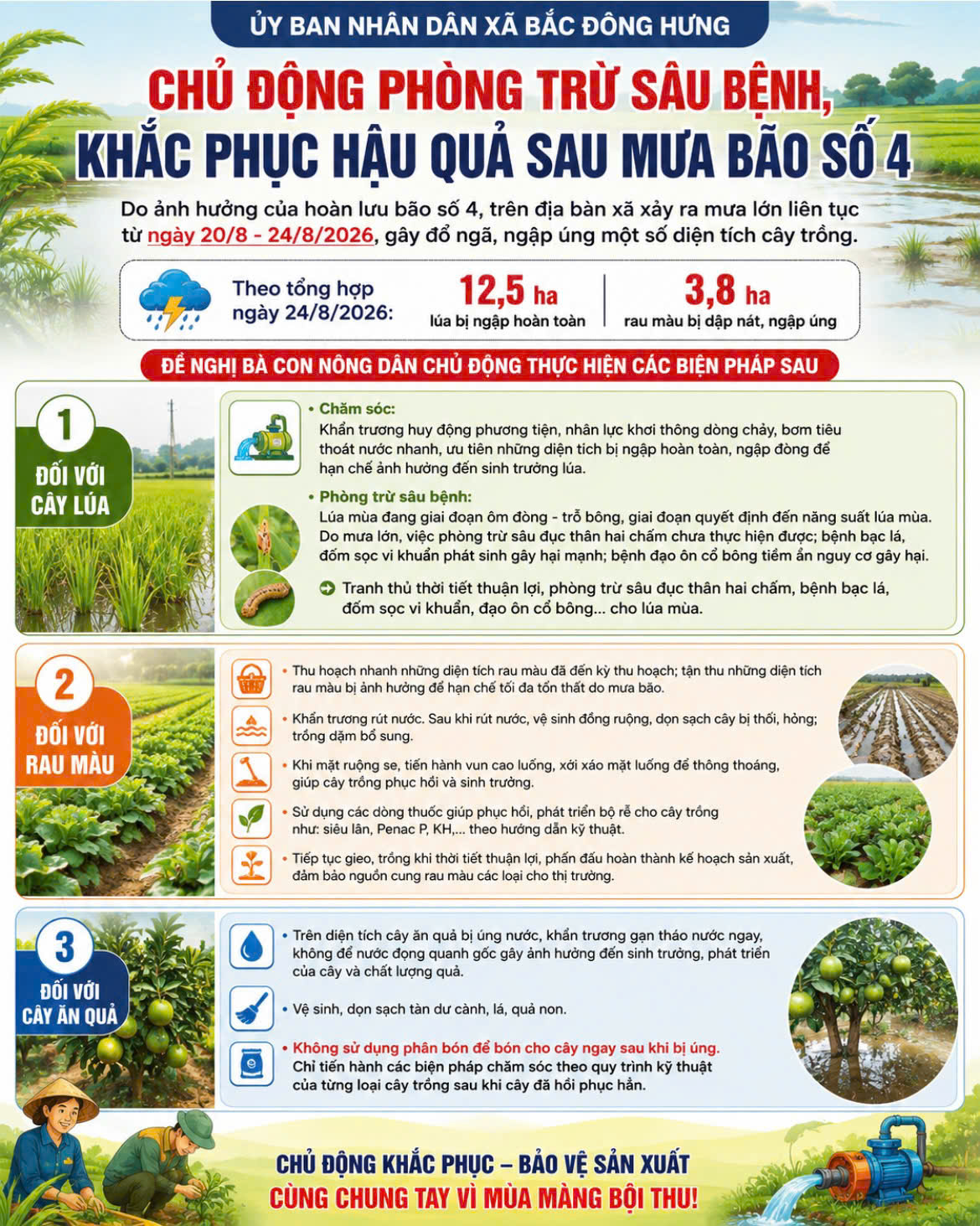 BẮC ĐÔNG HƯNG CHỦ ĐỘNG PHÒNG TRỪ SÂU BỆNH, KHẮC PHỤC HẬU QUẢ SAU MƯA BÃO SỐ 4