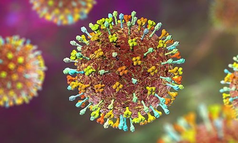 Bài tuyên truyền về dịch bệnh do vi rút Nipah và các biện pháp phòng chống tại Việt Nam